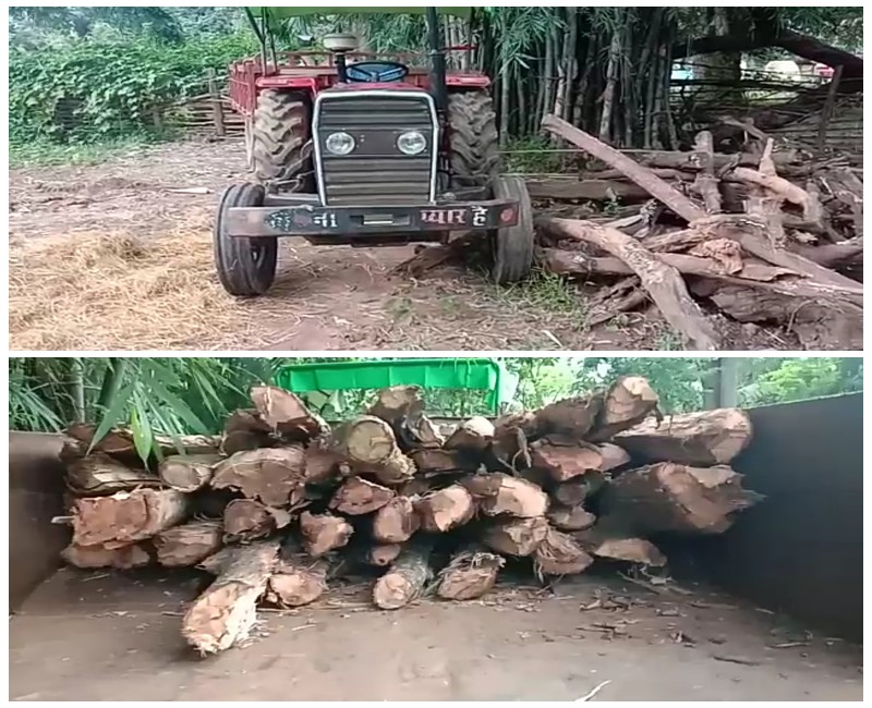 अंतागढ़ के जंगलों में वन माफिया अकबर का दबदबा। कहीं वन विभाग के जिम्मेदारों का संरक्षण तो नहीं ?