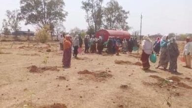 बालोद के गुरूर ब्लॉक की धनौरा पंचायत में तपती दोपहर में पौधरोपण का दृश्य