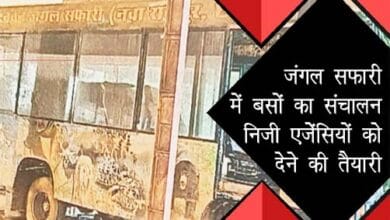 जंगल सफारी बस संचालन को निजी एजेंसियों को सौंपने की योजना