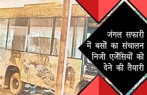 जंगल सफारी बस संचालन को निजी एजेंसियों को सौंपने की योजना