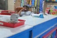 भाठागांव स्थित रेडी टू इट चिकन दुकान के काउंटर