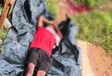 मैनपुर के पेंड्रा गांव में कुल्हाड़ी हमले में ग्रामीण की हत्या