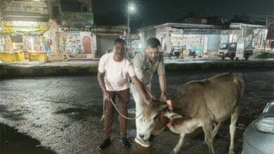 पुरूर थाना पुलिस हाईवे पर मवेशियों को रिफ्लेक्टिव नेक बैंड पहनाते हुए