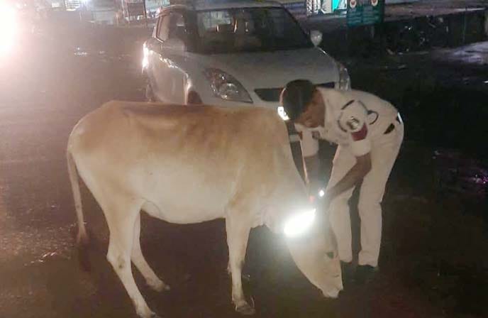 पुरूर थाना पुलिस हाईवे पर मवेशियों को रिफ्लेक्टिव नेक बैंड पहनाते हुए