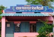 भैजा मैदानी में अनुमति से अधिक पेड़ों की कटाई का मामला