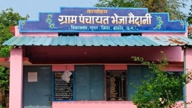 भैजा मैदानी में अनुमति से अधिक पेड़ों की कटाई का मामला