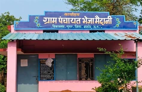 भैजा मैदानी में अनुमति से अधिक पेड़ों की कटाई का मामला