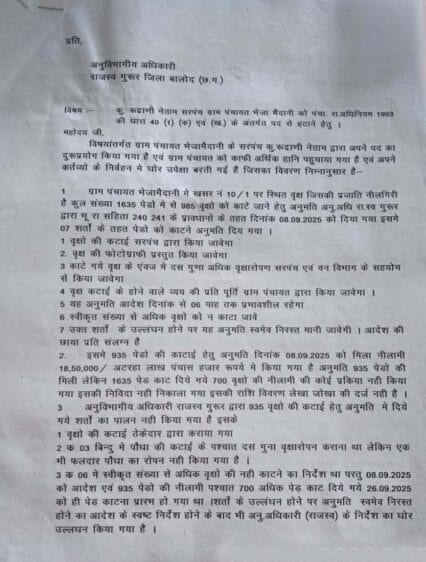 भेजामैदानी में नीलगिरी पेड़ों की कटाई का मामला